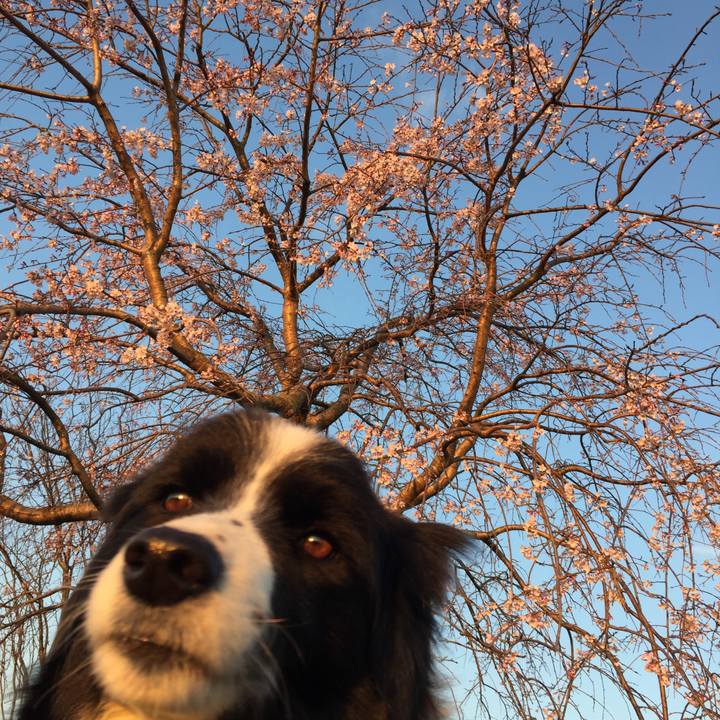 C7f863af 103d 4350 8580 e3cf00783dec 1553379663408