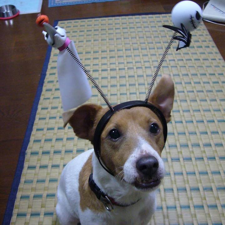 C7f86bf8 ecbf 4cc4 8b05 23561bde9de7 1666356684429