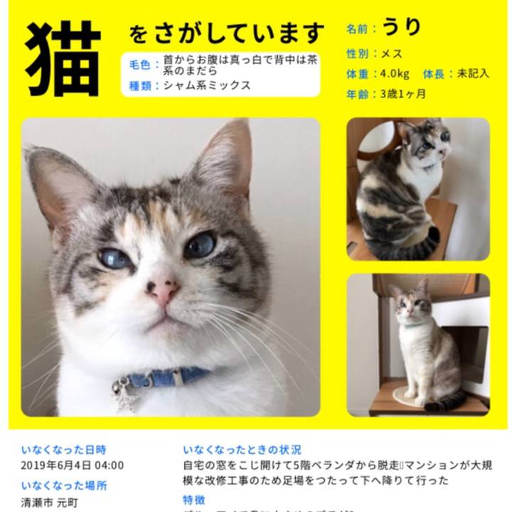 C7f8994e 756f 47fa a73c d704499a9cc1 1560419699315