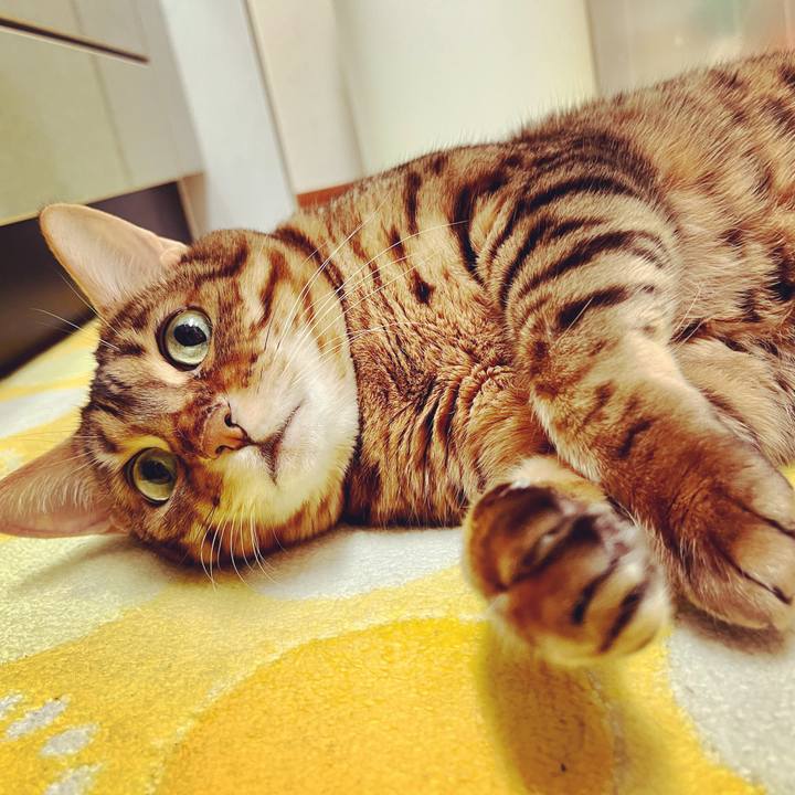 C7f8aca5 3d1f 4348 9663 5493fee5dc6b 1653359235866