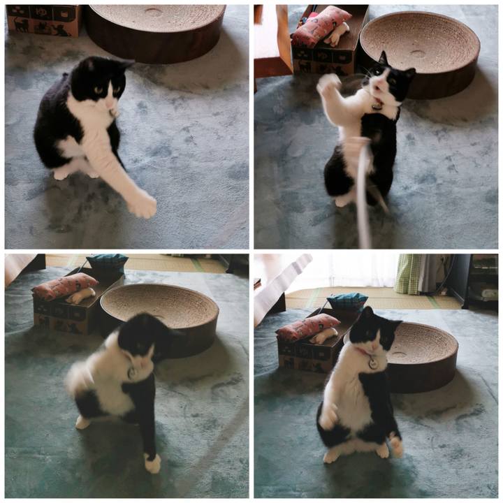 C7f8b7c7 fbe2 4434 9f33 334a16a028f3 1683431340383