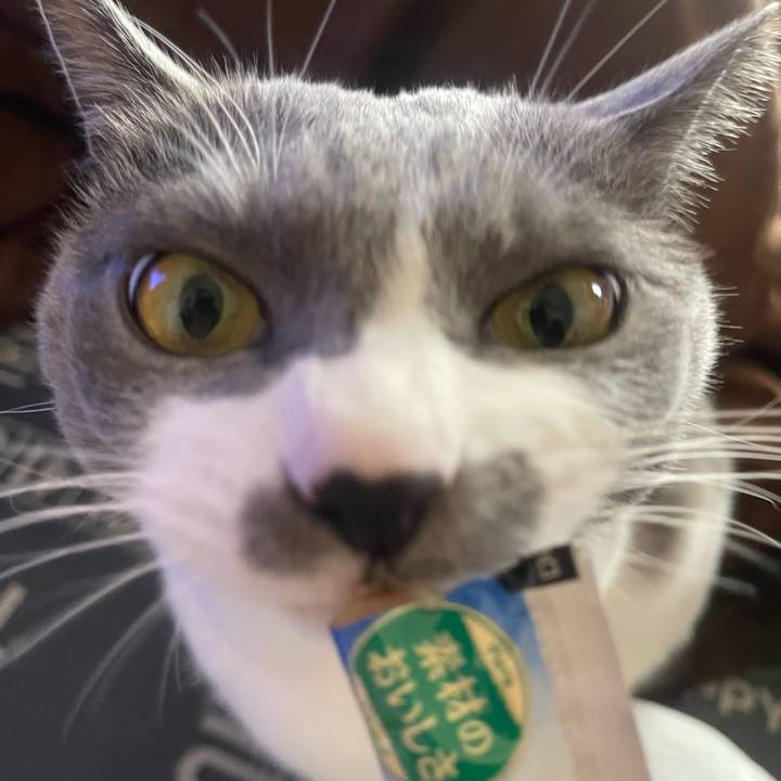 C7f90238 7d28 4808 88d2 70e9c6ba2eea 1702017744903