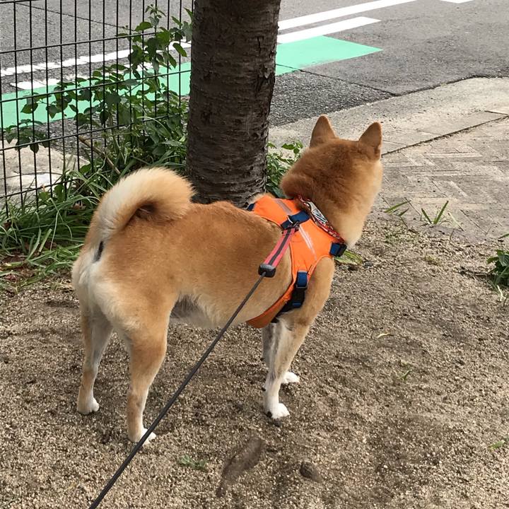 C7f94dfe 23cd 474d 8ea9 ff6300a3c5fe 1540990438952