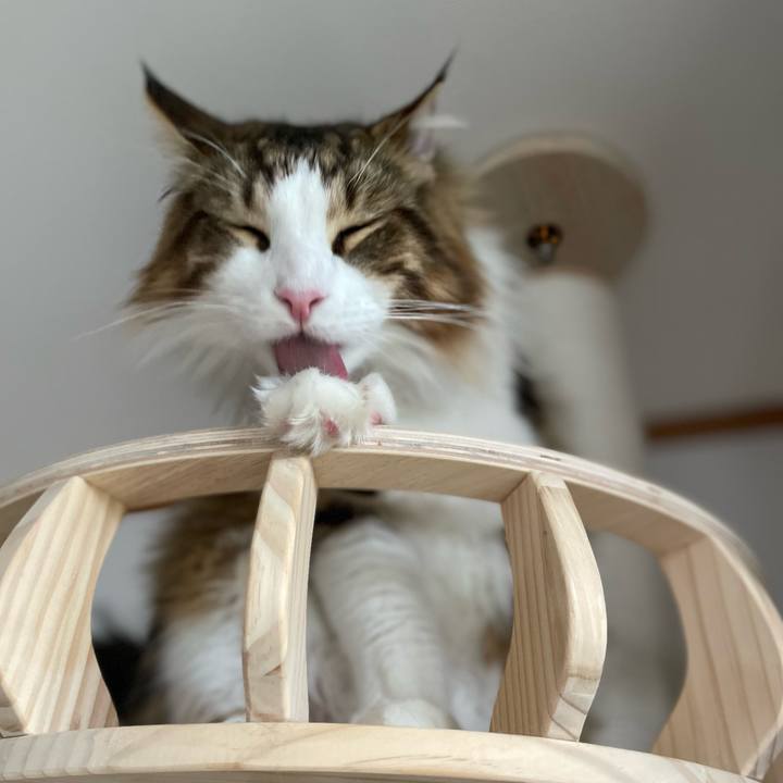 C7f96a17 7958 47e4 9a0b 28c05ec0cfb8 1656017789099