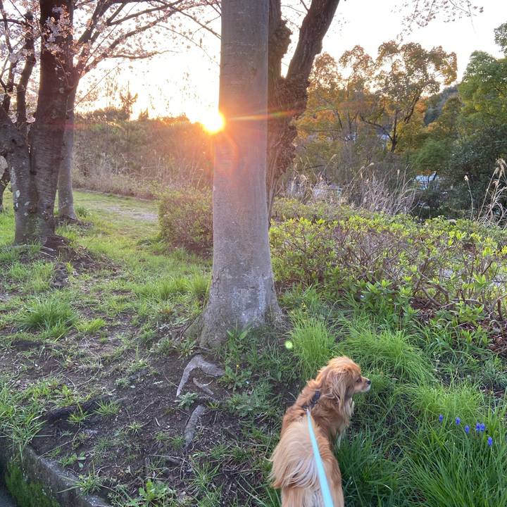 C7f9e5ad 8826 4373 991f 2851b24daa60 1585776487421