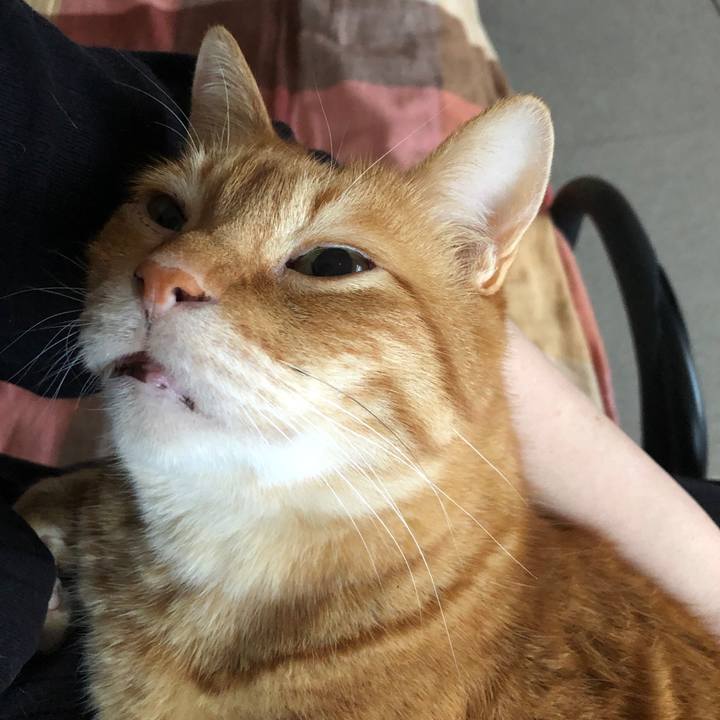 C7f9e641 cfab 4550 a051 b40526e64cf7 1680815142589