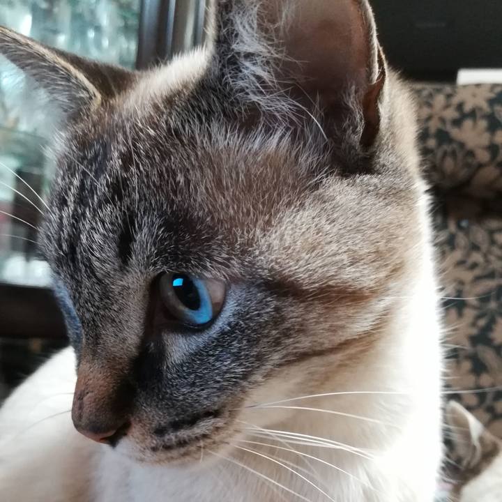 C7f9e796 ff3d 4f1c 9c15 1c8ef5f7f3ff 1544916700314