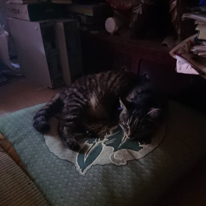 C7f9e83d b2b7 4dc3 b980 2e03d628054a 1656192392602