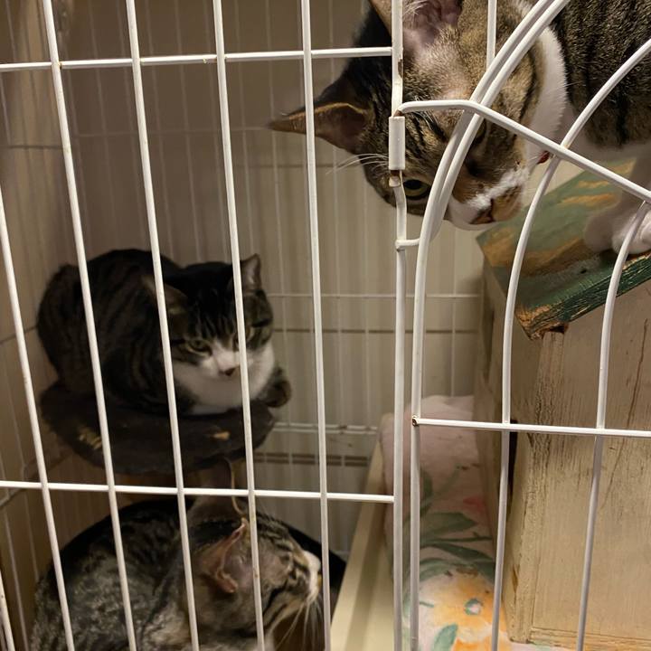 C7f9e9ec 0469 4f8d 9e3d d08a4127bfda 1707036913548