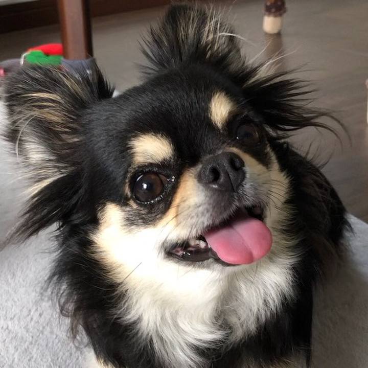 C7fa09dd 47d7 43b4 8929 f58627a9d3cb 1592572964960