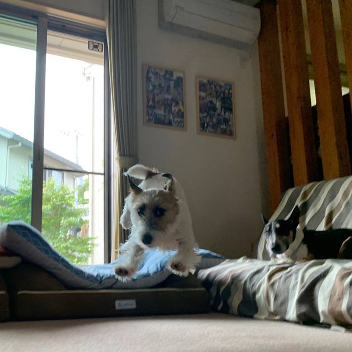 C7fa29f6 2a0e 4df5 b66d 20718a04db6e 1591521507025