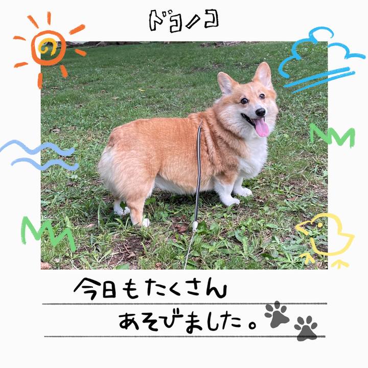C7fa523d 9248 40cc ab41 98990327d0df 1755525066012