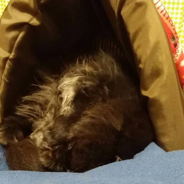 C7fa607e f553 4c39 82c5 dc2b9888f6ff 1513076994369