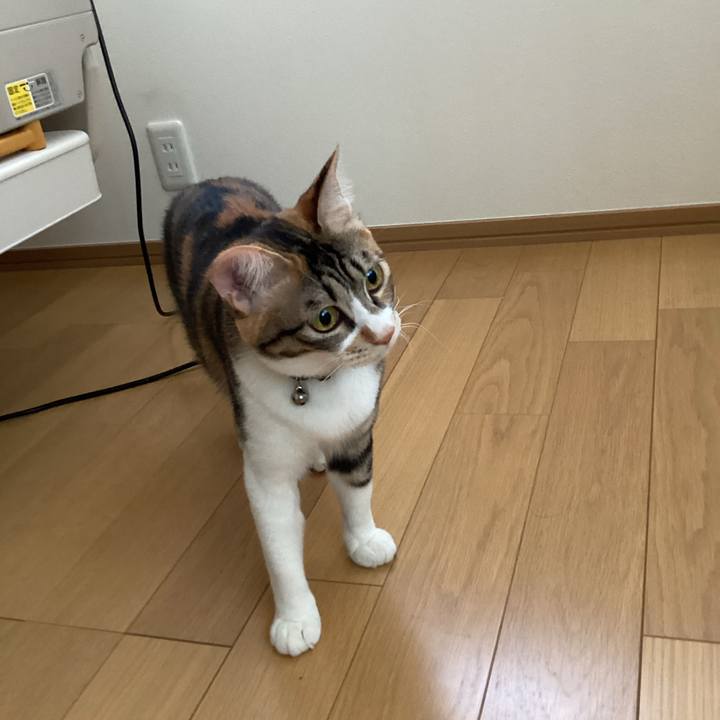 C7fa98dd 2874 4fc5 810f f2822486bc30 1671412923537