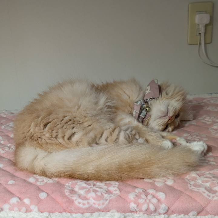 C7fb0231 732f 4dcd 8570 354357074433 1729223039803