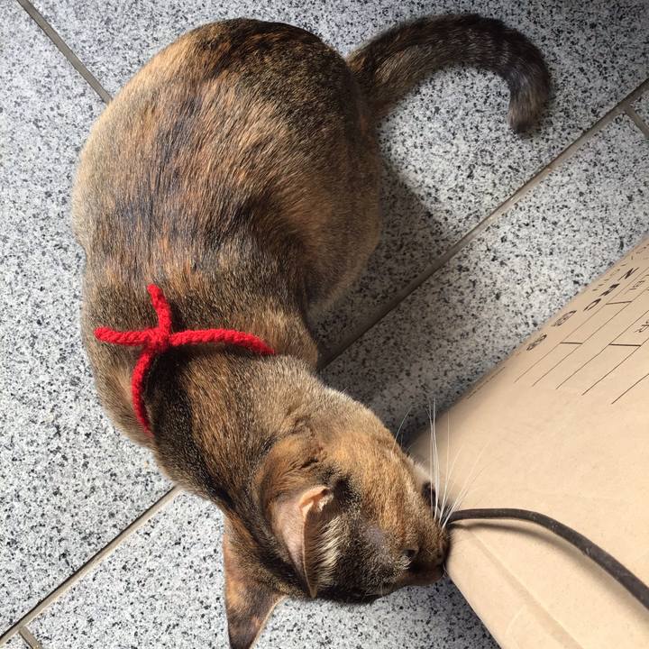 C7fb33e9 0515 46c2 b33b 1b509605e337 1612753303197