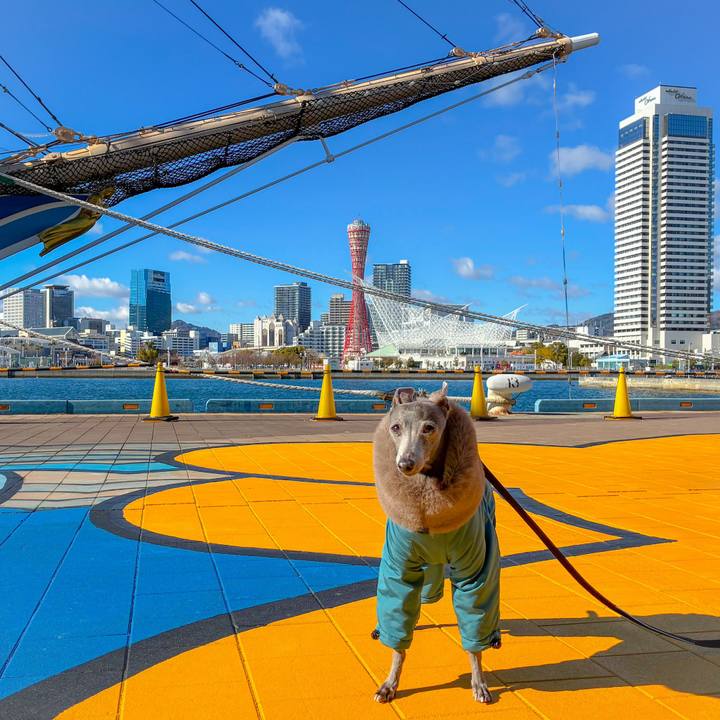 C7fb3c45 59e9 45c1 9b84 c268c5fe29ed 1767424798567