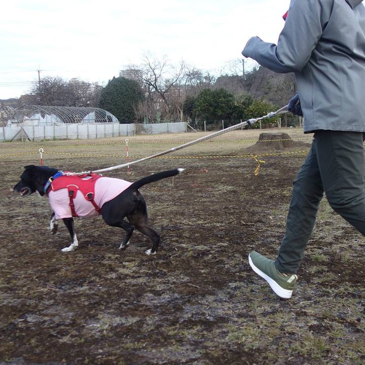 C7fb5aae 8ae3 403e aefe ec92486ea8c8 1672362261198