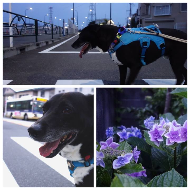 C7fb5edb 5f04 4994 a583 09551d8e8c5e 1686395501719