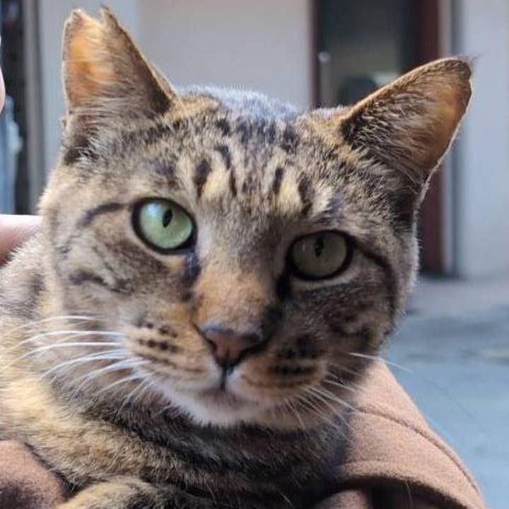 C7fb83b8 e255 4a77 b56c cedc345d408c 1765283091681