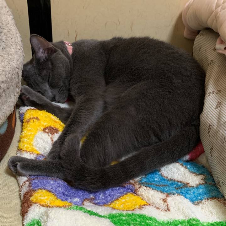 C7fbcdac 4def 4ed5 b4a6 bdf843cbb3d0 1570460799431