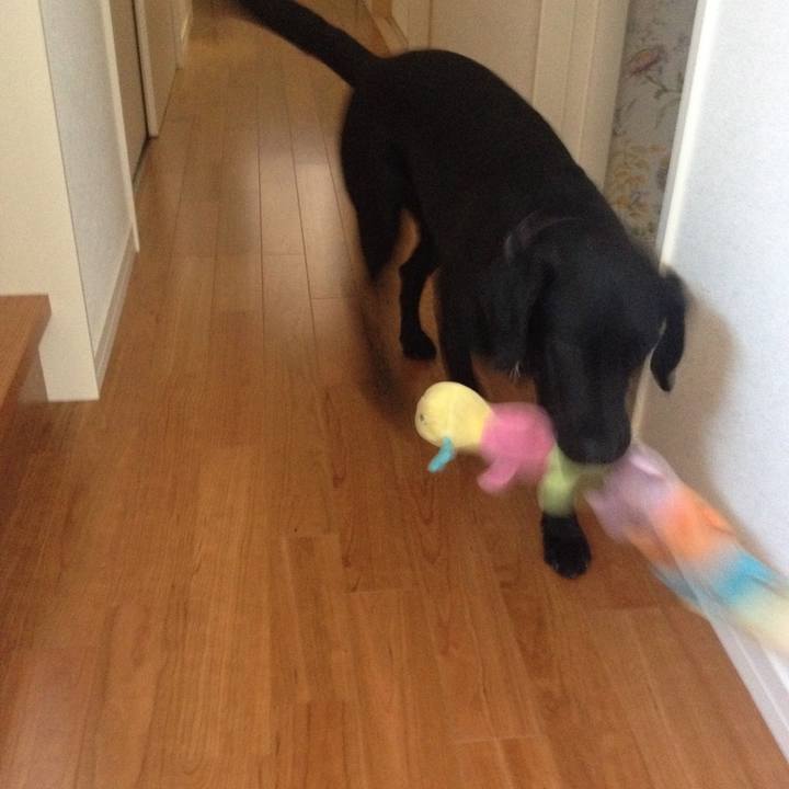 C7fbece3 1c6f 4fb2 b62b 37ab23b47015 1562470539360