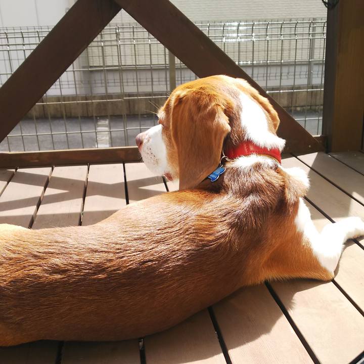 C7fbf690 dbba 440f a767 1f08a526387f 1631503739971