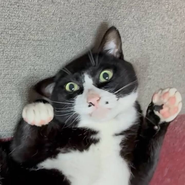 C7fbfbb8 830e 4e24 a782 480f99a8fe47 1750039248748