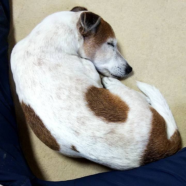 C7fbfc9d bc06 45a8 a8b9 3493545d10b0 1559384048942