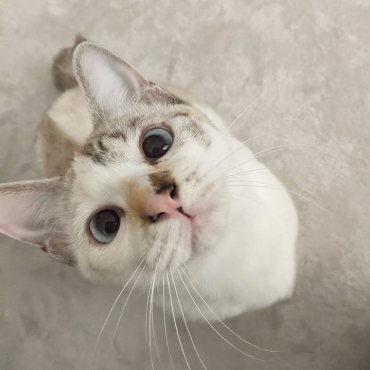 C7fbff93 4f88 417a bc06 b541dd29e8f2 1700973806913