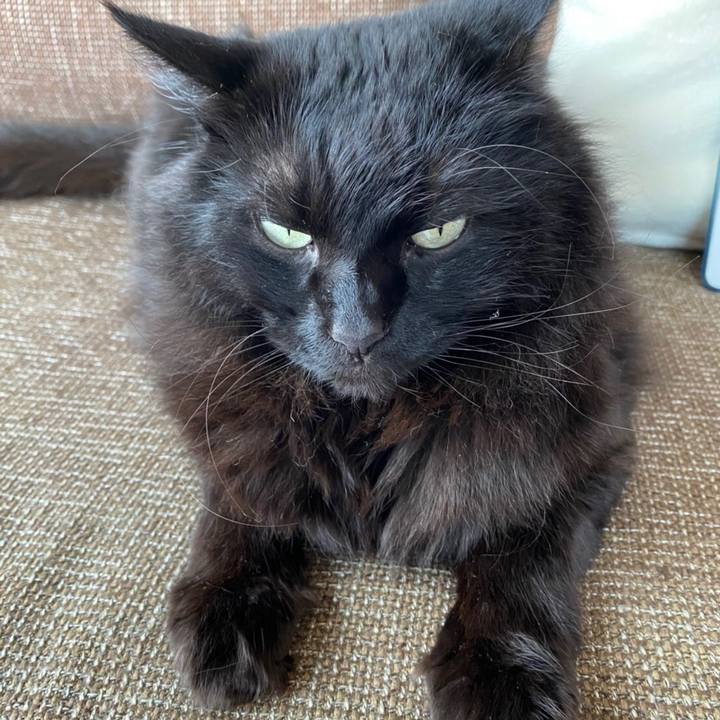 C7fc025c ce99 4373 8241 59b229daa462 1588499448990