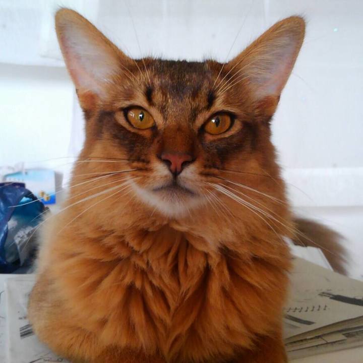 C7fc63ee 6ce4 441f 90b3 2e51f71fb59c 1591256032027