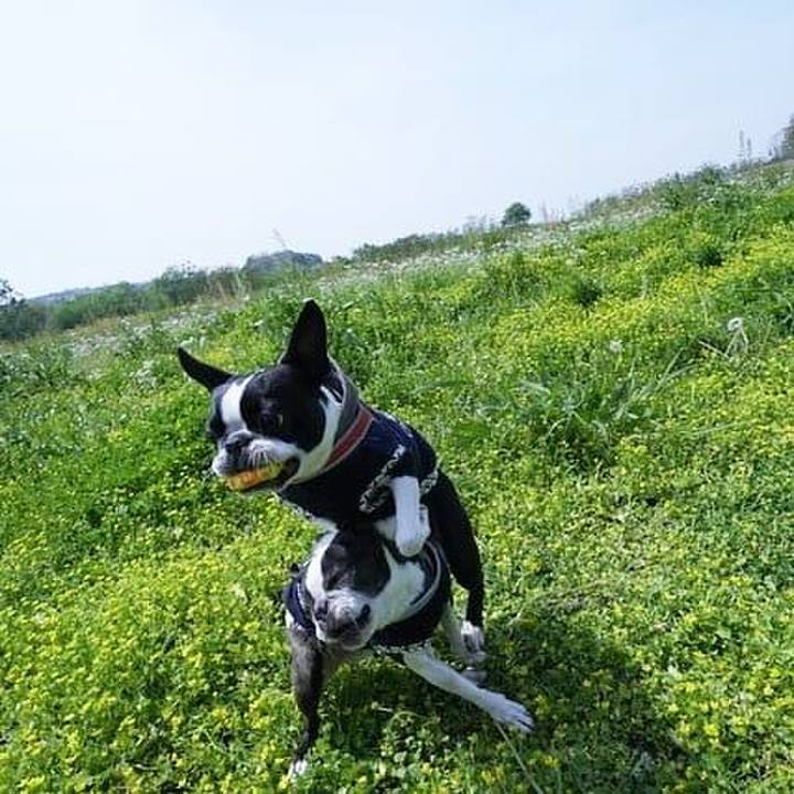 C7fc8b6f aef8 4f3f be84 0826b371167c 1524374250056