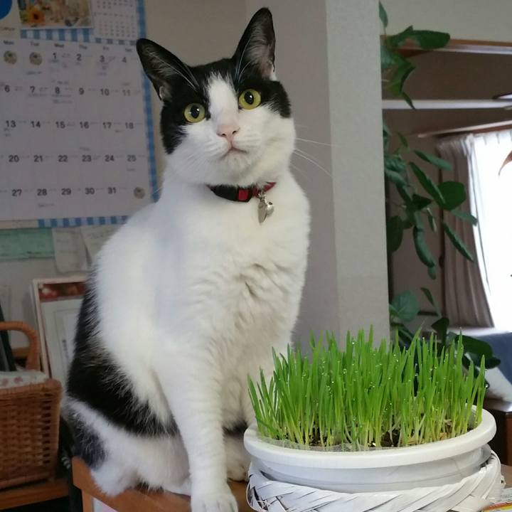 C7fc9dfb 1995 476c a423 7fda44a17a57 1534121209278