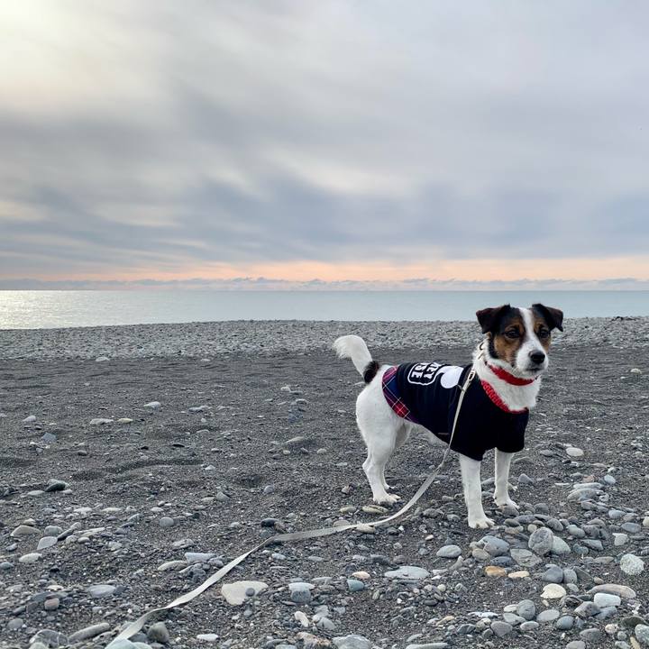 C7fd018f 4341 4da3 b696 589523cafde5 1610331023364