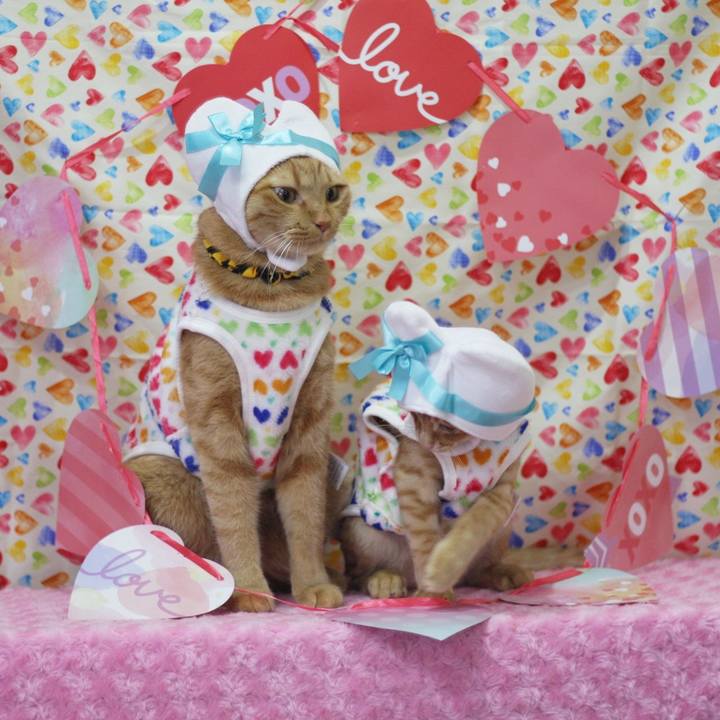 C7fd1fbc 5900 4002 b165 010b42961df2 1676257325010