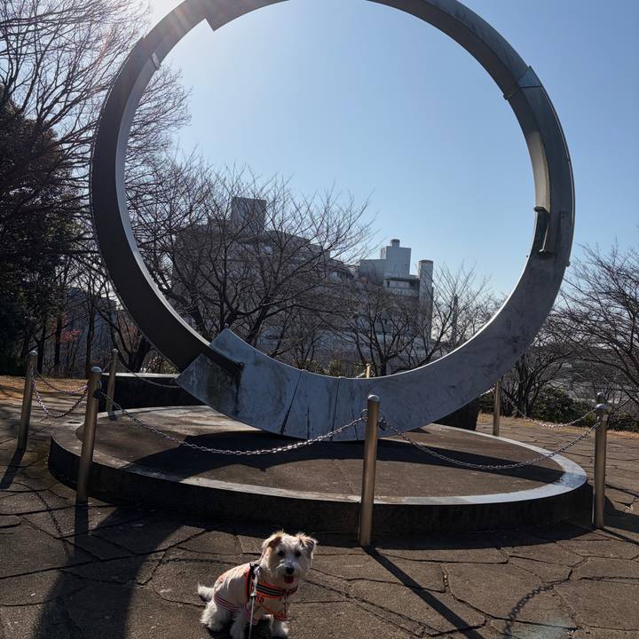 C7fd36f7 8797 447d 8e60 ae14057bd438 1768707759596