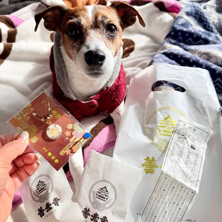 C7fd66e8 e0e4 45b4 b0e9 6003c317ca50 1773374478056