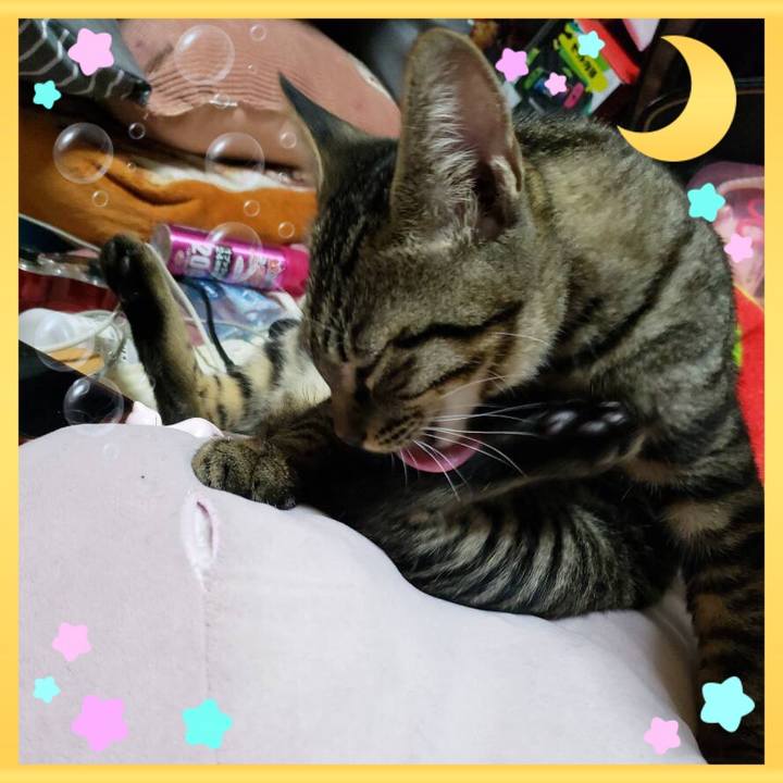 C7fd6aac 4c28 467a 849e 26b4f212180a 1541855900206