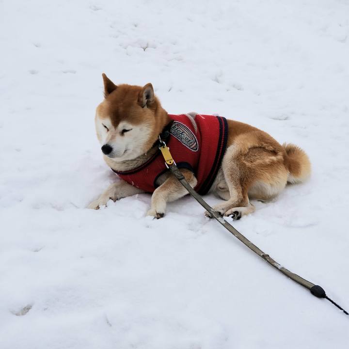 C7fd6f2b a9bf 4783 a66f 42576e37a7e7 1610335779854