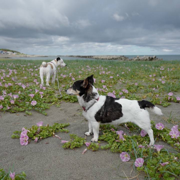 C7fd7c37 1d83 4973 9f8b ac018cf4a27e 1559109653203