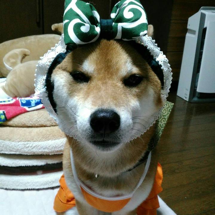 C7fd8992 6e7d 47a0 885a 30367825acbe 1524748720034