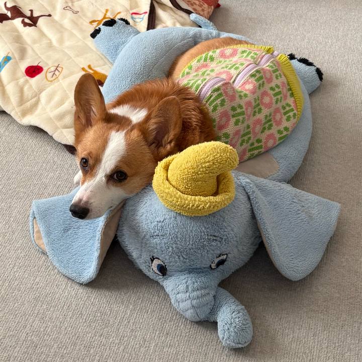 C7fd9641 f039 4168 a465 0cb9550ab202 1770102885828