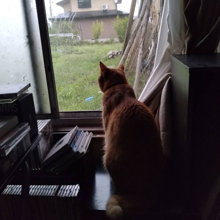 C7fdbf16 0e42 44c4 abed 2fef9e8a8d16 1695247606081