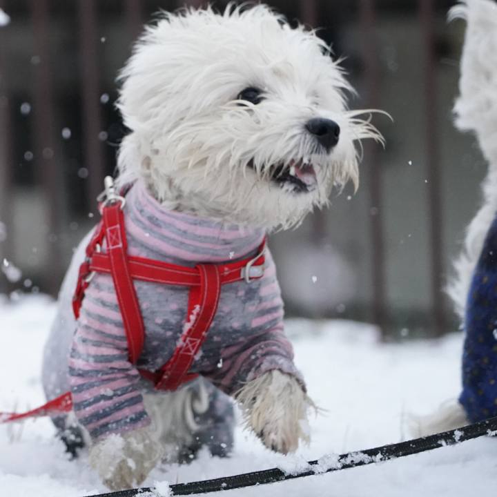 C7fde99b 80b3 49fd 83d9 0da3074b6b88 1517563792656