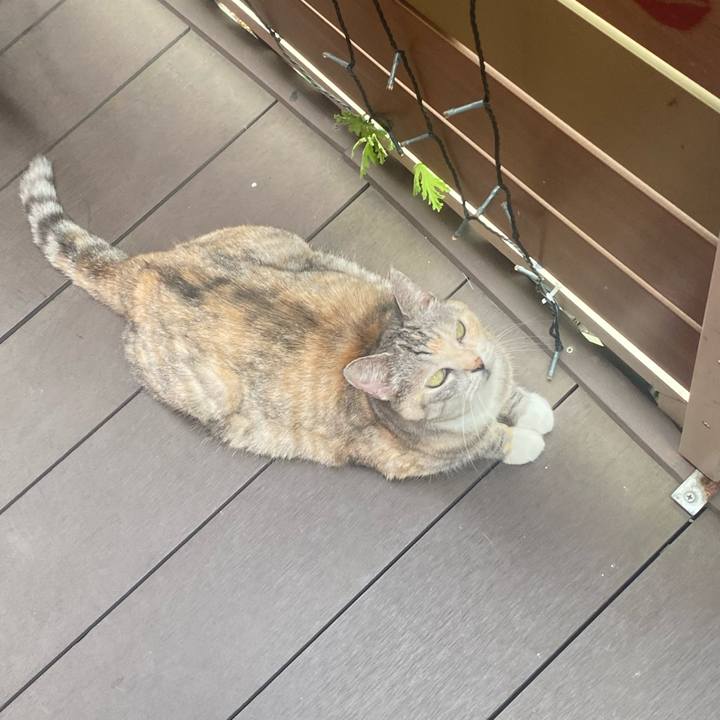 C7fe010f 0187 47ac b8ab 5bea6108e7af 1723595857726