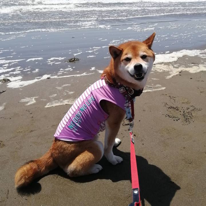 C7fe0d08 bff0 4b9c 9235 92b0d4954aa9 1683271971901