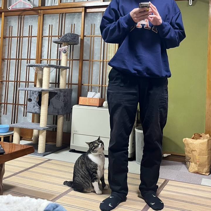 C7fe14b5 8c5f 4483 ba5e 588f6b87384f 1770253827420