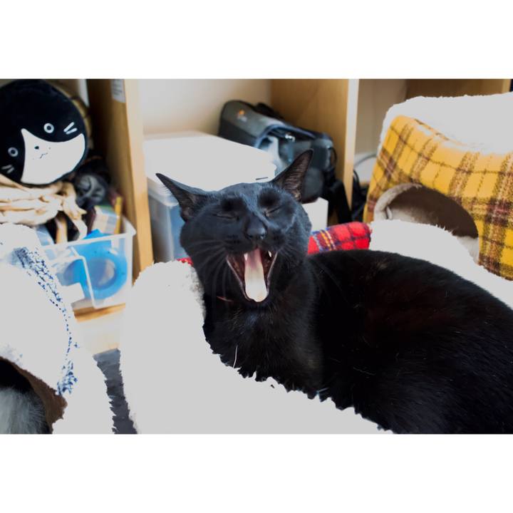 C7fe18d2 605d 45d2 830c 1c1eae43b6dc 1610966430162