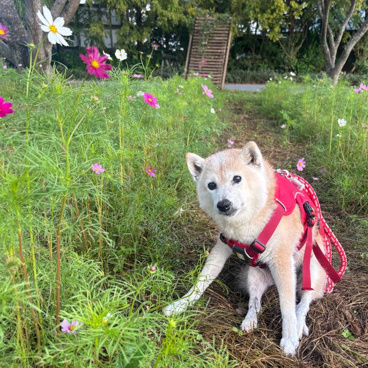 C7fe1c0d eb9a 4990 9f86 7a0b983592f1 1761435389372